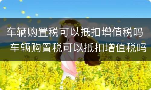 车辆购置税可以抵扣增值税吗 车辆购置税可以抵扣增值税吗?