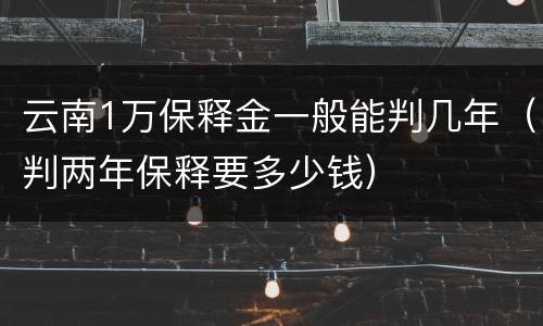 云南1万保释金一般能判几年（判两年保释要多少钱）