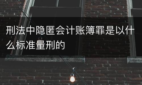 刑法中隐匿会计账簿罪是以什么标准量刑的