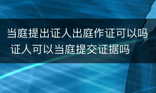 当庭提出证人出庭作证可以吗 证人可以当庭提交证据吗