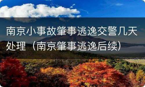 南京小事故肇事逃逸交警几天处理（南京肇事逃逸后续）