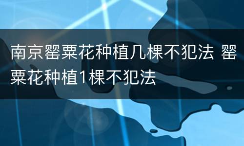 南京罂粟花种植几棵不犯法 罂粟花种植1棵不犯法