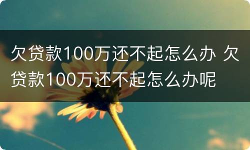 欠贷款100万还不起怎么办 欠贷款100万还不起怎么办呢