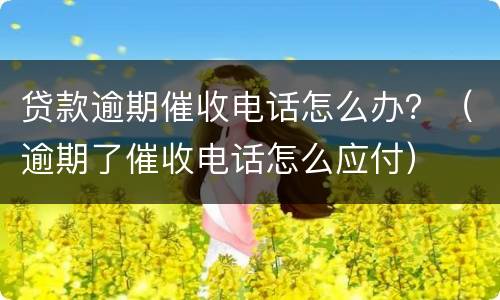 贷款逾期催收电话怎么办？（逾期了催收电话怎么应付）