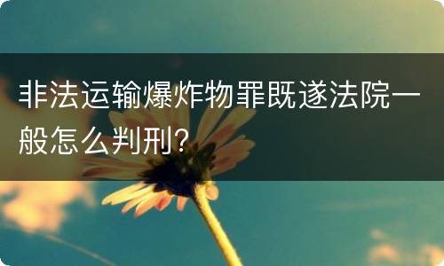 非法运输爆炸物罪既遂法院一般怎么判刑?