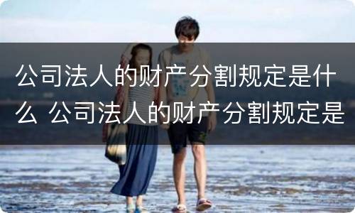 公司法人的财产分割规定是什么 公司法人的财产分割规定是什么时候实施