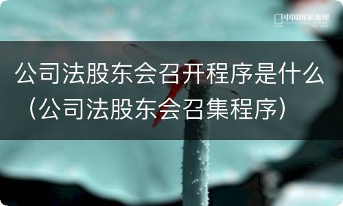 公司法股东会召开程序是什么（公司法股东会召集程序）