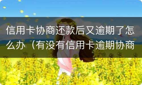 信用卡协商还款后又逾期了怎么办（有没有信用卡逾期协商还本金成功了的）