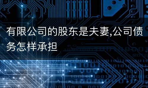 有限公司的股东是夫妻,公司债务怎样承担