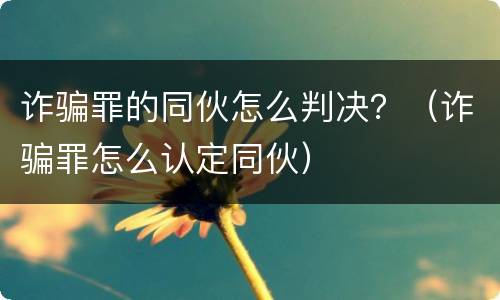 诈骗罪的同伙怎么判决？（诈骗罪怎么认定同伙）