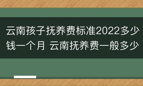 云南孩子抚养费标准2022多少钱一个月 云南抚养费一般多少