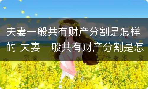 夫妻一般共有财产分割是怎样的 夫妻一般共有财产分割是怎样的法律规定