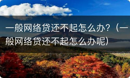 一般网络贷还不起怎么办?（一般网络贷还不起怎么办呢）