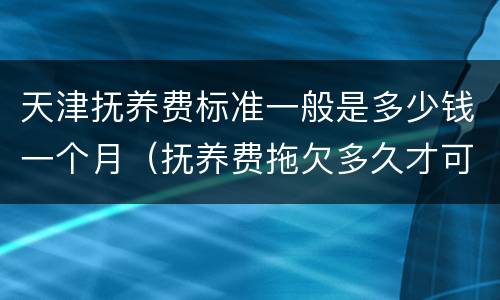天津抚养费标准一般是多少钱一个月（抚养费拖欠多久才可以起诉）