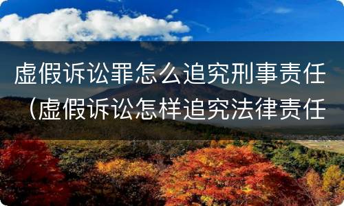 虚假诉讼罪怎么追究刑事责任（虚假诉讼怎样追究法律责任）