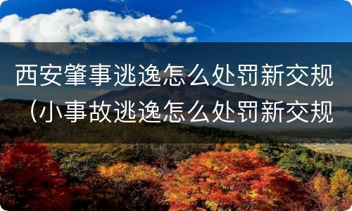 西安肇事逃逸怎么处罚新交规（小事故逃逸怎么处罚新交规）