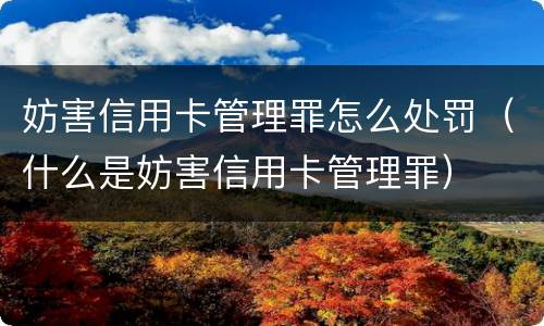 妨害信用卡管理罪怎么处罚（什么是妨害信用卡管理罪）
