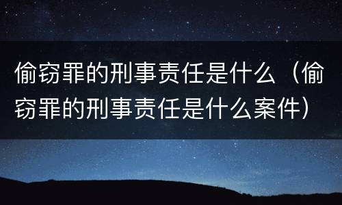 偷窃罪的刑事责任是什么（偷窃罪的刑事责任是什么案件）
