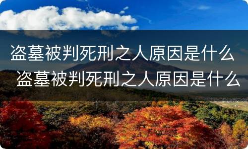 盗墓被判死刑之人原因是什么 盗墓被判死刑之人原因是什么意思