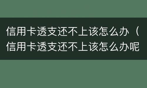 信用卡透支还不上该怎么办（信用卡透支还不上该怎么办呢）