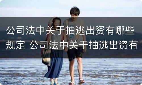 公司法中关于抽逃出资有哪些规定 公司法中关于抽逃出资有哪些规定呢