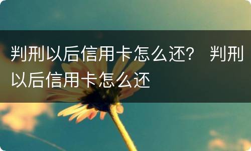 判刑以后信用卡怎么还？ 判刑以后信用卡怎么还