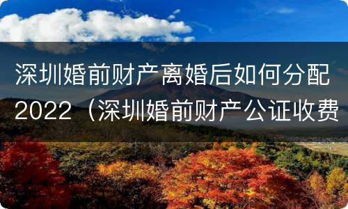 深圳婚前财产离婚后如何分配2022（深圳婚前财产公证收费标准）
