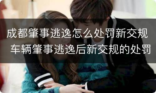 成都肇事逃逸怎么处罚新交规 车辆肇事逃逸后新交规的处罚