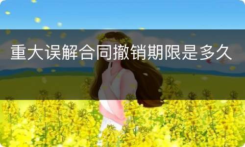 重大误解合同撤销期限是多久