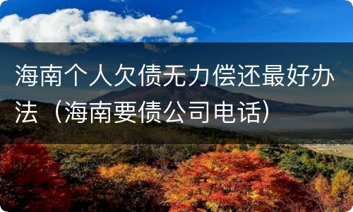 海南个人欠债无力偿还最好办法（海南要债公司电话）