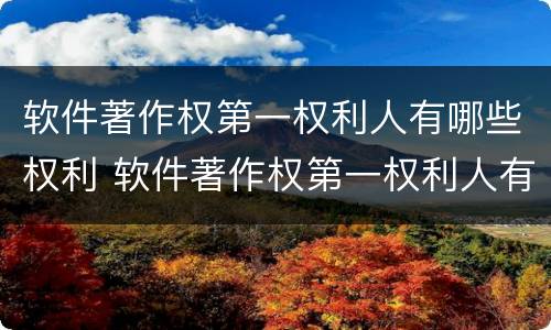 软件著作权第一权利人有哪些权利 软件著作权第一权利人有哪些权利呢