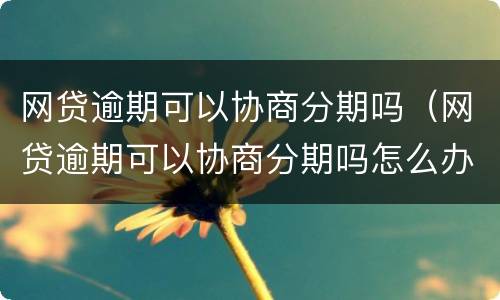 网贷逾期可以协商分期吗（网贷逾期可以协商分期吗怎么办）
