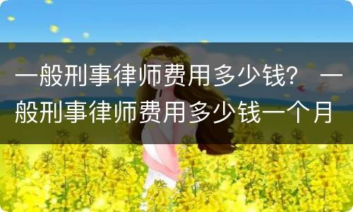 一般刑事律师费用多少钱？ 一般刑事律师费用多少钱一个月
