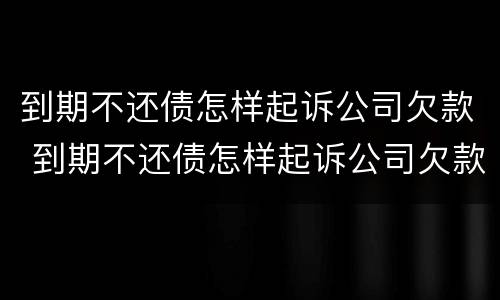 到期不还债怎样起诉公司欠款 到期不还债怎样起诉公司欠款人