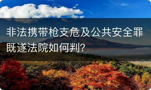 非法携带枪支危及公共安全罪既遂法院如何判？