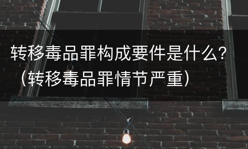 转移毒品罪构成要件是什么？（转移毒品罪情节严重）