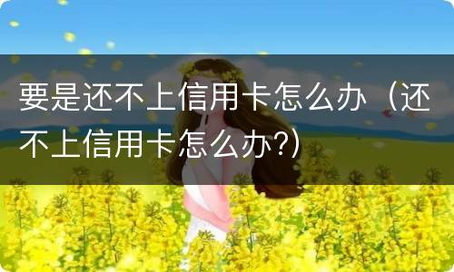 要是还不上信用卡怎么办（还不上信用卡怎么办?）