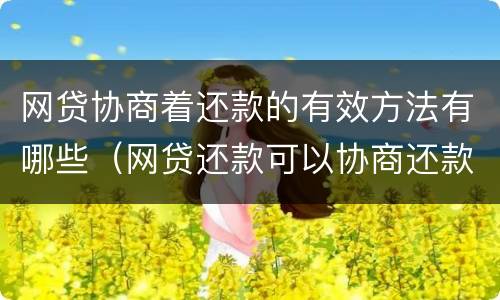 网贷协商着还款的有效方法有哪些（网贷还款可以协商还款金额吗?）