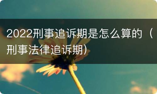 2022刑事追诉期是怎么算的（刑事法律追诉期）