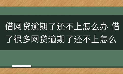 借网贷逾期了还不上怎么办 借了很多网贷逾期了还不上怎么办