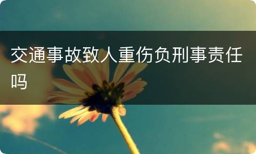 交通事故致人重伤负刑事责任吗