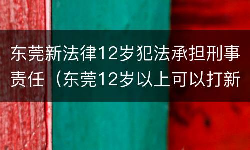 东莞新法律12岁犯法承担刑事责任（东莞12岁以上可以打新冠疫苗吗）