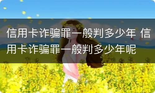 信用卡诈骗罪一般判多少年 信用卡诈骗罪一般判多少年呢