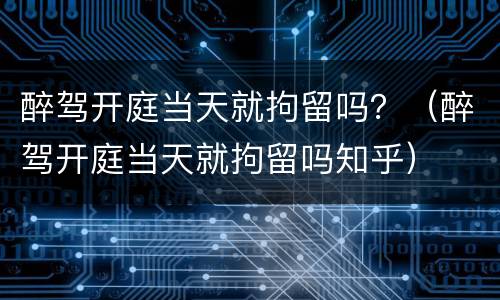 醉驾开庭当天就拘留吗？（醉驾开庭当天就拘留吗知乎）
