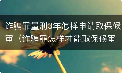 诈骗罪量刑3年怎样申请取保候审（诈骗罪怎样才能取保候审）