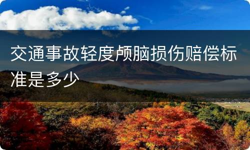 交通事故轻度颅脑损伤赔偿标准是多少