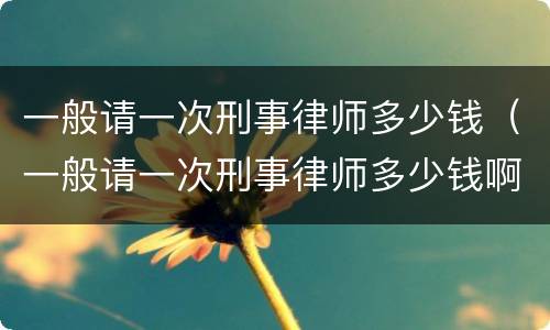 一般请一次刑事律师多少钱（一般请一次刑事律师多少钱啊）