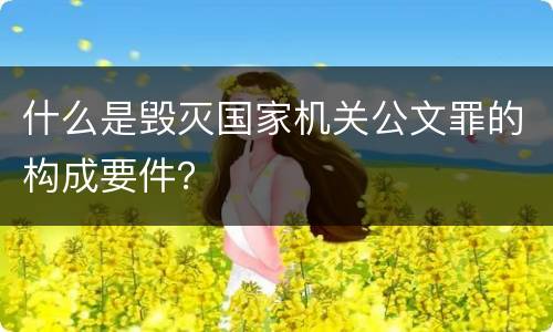 什么是毁灭国家机关公文罪的构成要件？