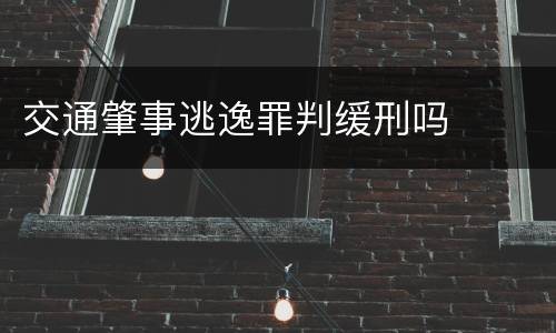 交通肇事逃逸罪判缓刑吗