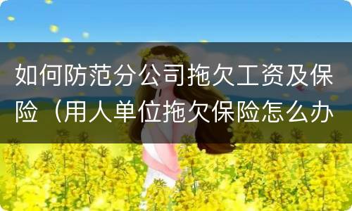 如何防范分公司拖欠工资及保险（用人单位拖欠保险怎么办）